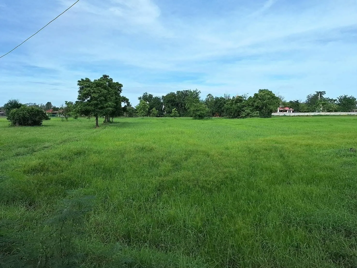 ภาพประกาศ