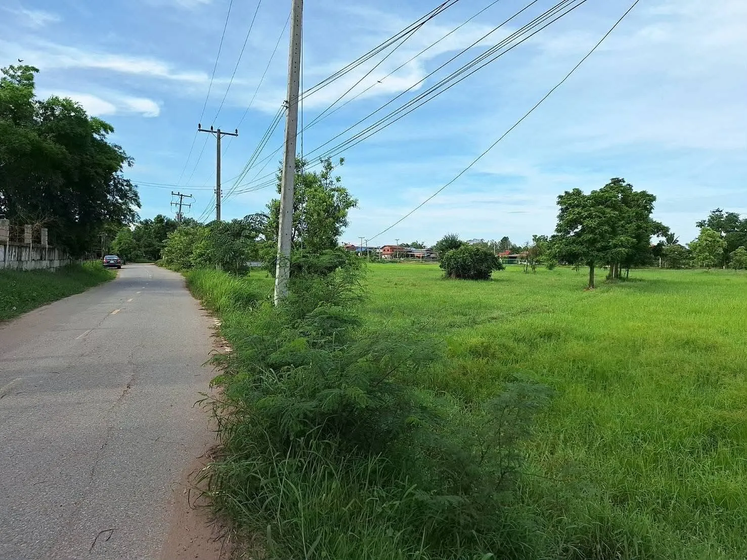 ภาพประกาศ